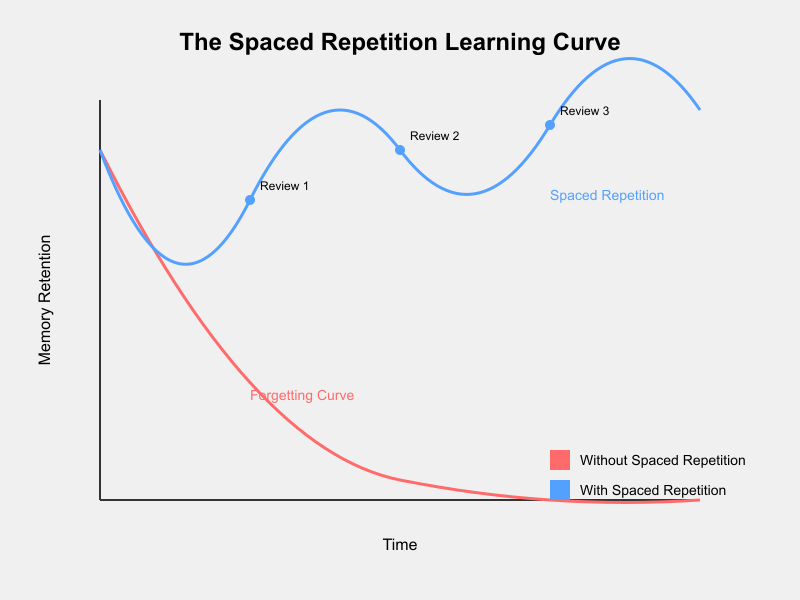 The Forgetting Curve: Your Brain's Natural Enemy